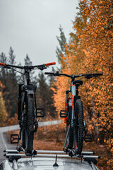 Mountain Bikes on Car Roof with Autumn Forest in Lapland, Finland