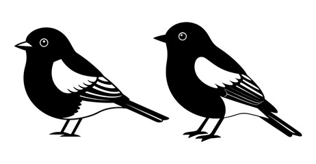 Vector art of two magpie bird, a charming black and white illustration of natures avian beauty