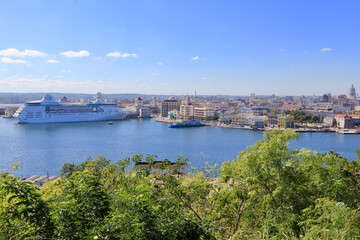 Crucero atracado en puerto urbano con skyline histórico y vegetación mediterránea