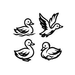 Stylized Duck Icon Set &ndash; Black and White Bird Behavior Line Illustrations