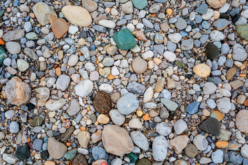 Colorful assortment of smooth pebbles and stones scattered on the ground, showcasing various textures and hues in a natural outdoor environment, perfect for nature-themed projects