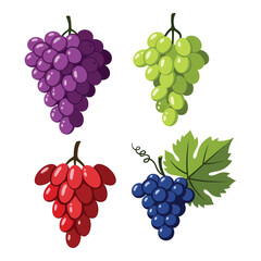 Four bunches of fresh grapes different colors red green purple blue food photography
