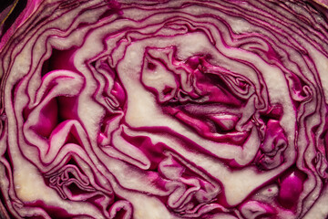 close up of cut whole red cabbage 