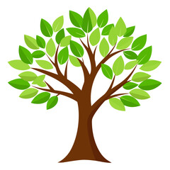 Obraz premium tree with green leaves