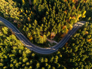 Aerial view of a road with autumn leaves changing