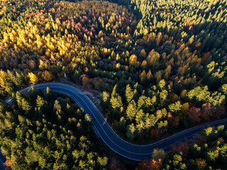 Aerial view of a road with autumn leaves changing
