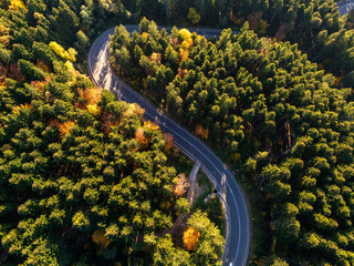 Aerial view of a road with autumn leaves changing