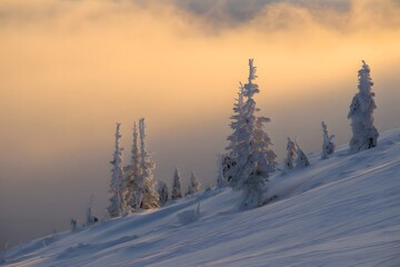 Snowy mountain landscape with frosted trees at sunset creating a serene winter wonderland view