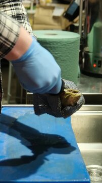 Close-up of a seafood chef shucking a fresh raw oyster with a special knife, wearing protective chainmail and nitrile gloves while preparing the delicacy in a restaurant kitchen environment. Vertical 