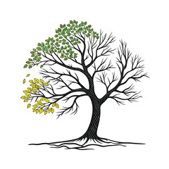 Tree of Seasons Illustration – Life Cycle, Growth, and Nature Change Concept with Green, Yellow, and Bare Branches