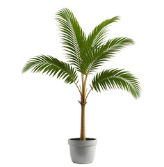Obraz premium Indoor potted artificial palm tree, minimalist background, home decor
