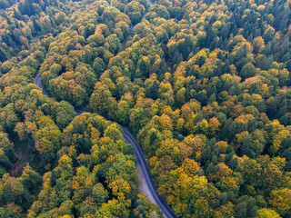 Aerial view of a winding road through vibrant autumn foliage, showcasing the beauty of seasonal change in nature. 