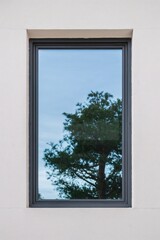 Fototapeta premium Minimalist window facade with geometric lines and natural reflection
