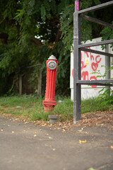 Bright red fire hydrant standing next to a fence in a green and urban setting with graffiti nearby