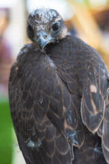 deteniendo el tiempo