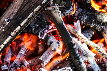 Burning wood and fire flames. Empty hot charcoal barbecue grill with bright flame