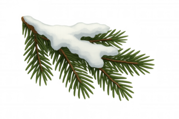 Fir branch with fresh snow, symbolizing winter, christmas holiday, cold season, and natural evergreen decoration