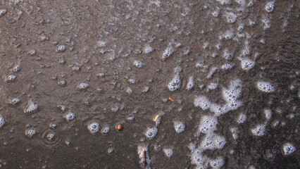 rain drops on the window