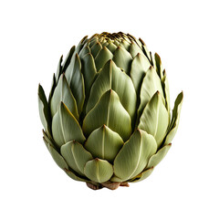 Fototapeta premium Studio-shot artichoke, green, vegetable, food, photography, background black, recipe, website