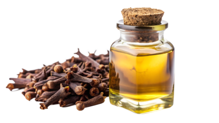 Aromatic clove essential oil in a glass bottle isolated on transparent background, next to a pile of dried cloves, showcasing natural remedy and spice