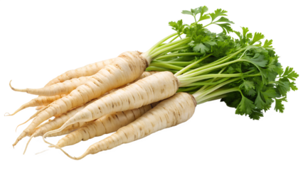 A vibrant bunch of fresh parsley roots isolated on transparent background, showcasing their natural beauty and earthy goodness in a captivating display