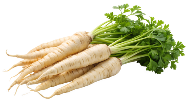 A vibrant bunch of fresh parsley roots isolated on transparent background, showcasing their natural beauty and earthy goodness in a captivating display