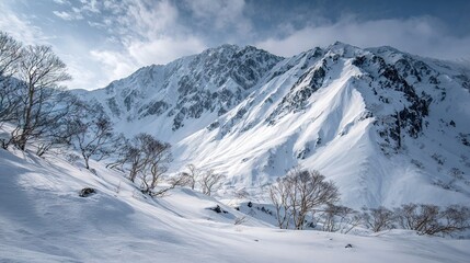   A snow-covered mountain towers in the backdrop while trees adorn the foreground, framing a stunning view of blue skies dotted with wispy clouds above