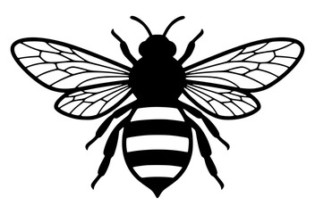 Honey bee with detailed wings and striped body, insect, nature, bee, flying, honey bee