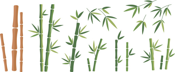 Bamboo stalk and leaf vector illustration, green and brown bamboo, segmented stems, botanical design, cartoon style, white background, nature element © Momotaj Contributor