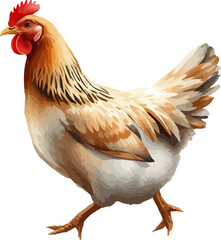 Fototapeta premium Watercolor vector illustration a hen with chickens.