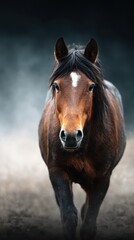 Fototapeta premium Brown horse running in a misty landscape at dawn showcasing strength and grace in nature
