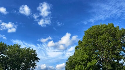 Wide blue sky with scattered cumulus and wispy cirrus clouds above lush green trees, airy panoramic landscape background with copy space