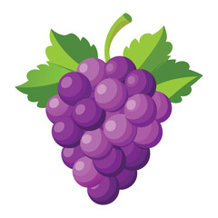 Illustration of fresh dragon fruit pitaya exotic tropical fruit healthy food vibrant color diet