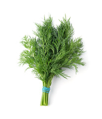 Fresh raw dill bunch isolated on white background.