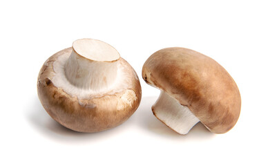 Fresh champignon mushrooms isolated on white background.