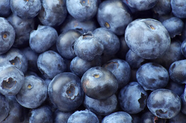 Fresh blueberries background, closeup view.