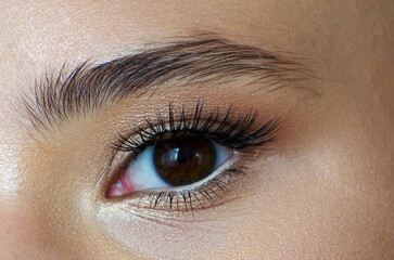 Obraz premium Close up of beautiful female eye