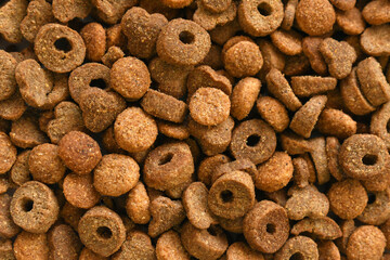 Dry cat food texture background. Dry pet food.