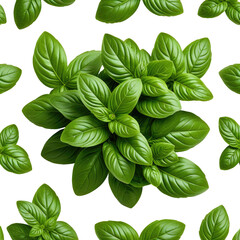 Fresh basil leaves pattern, dark background, food design