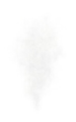 Realistic dense white or gray steam or smoke cloud with transparent background perfect for depicting fire, industrial pollution, vapor, or explosion effects in visual design, illustration, or composit