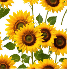 Vibrant sunflowers, close-up, black background, seamless pattern, textile print