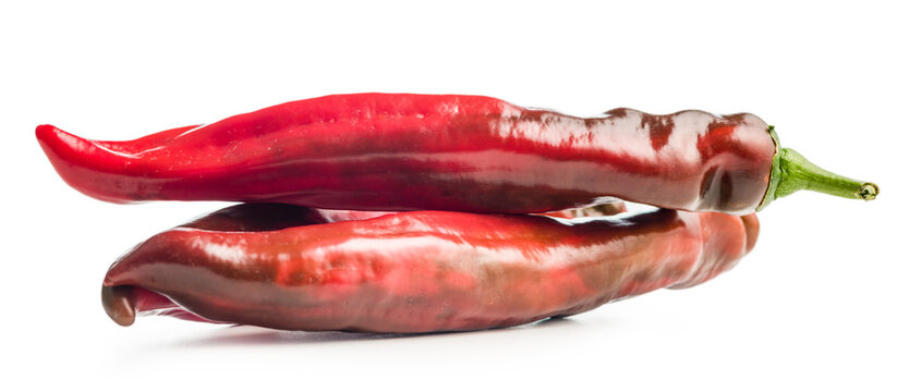 Corno di Toro Rosso pepper. Red paprika vegetable isolated on white background.