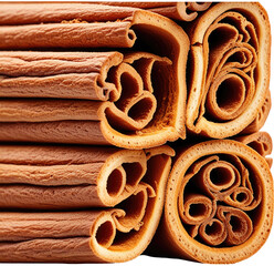 Close-up cinnamon sticks, cross-section, studio, food background, recipe