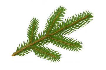 Naklejka premium Evergreeen branch with green needles symbolizing christmas, winter holidays, and festive season, transparent background