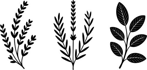 Elegant Black and White Floral Design with Minimalist Style for Backgrounds