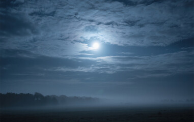 Fototapeta premium full moon over the sea