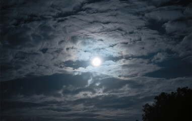Fototapeta premium full moon over the sea