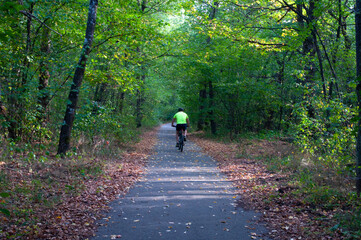 Fototapeta premium A tranquil, eye-level shot captures a man cycling along a tree-lined paved path in autumn