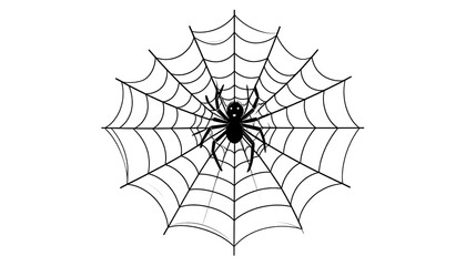 Spiderweb with spider