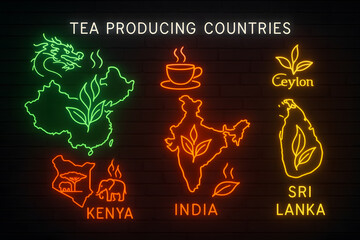 Tea Map Visualization Showing Global Production and Cultivation Regions for Agricultural Studies